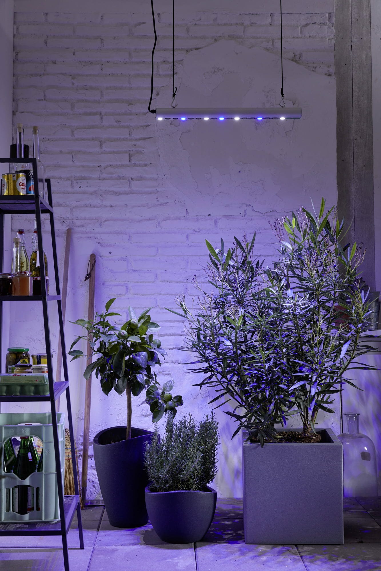  GrowLight Quattro, 35 Watt