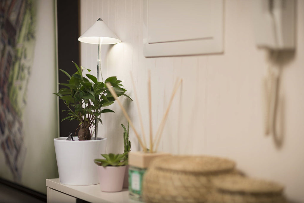  SUNLiTE Pflanzenlampe 7W, Weiß