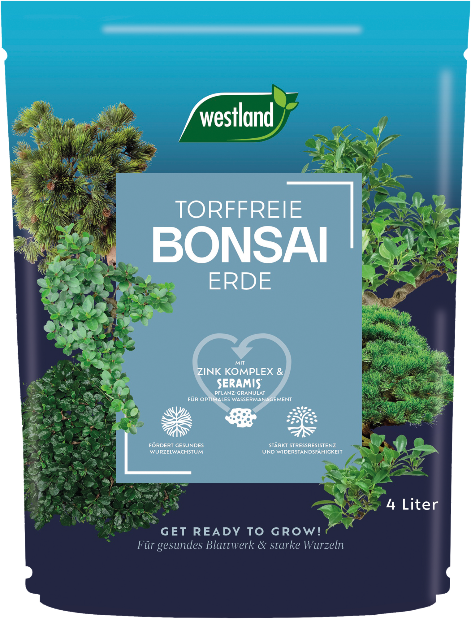 Westland Bonsai Erde TF, 4 L