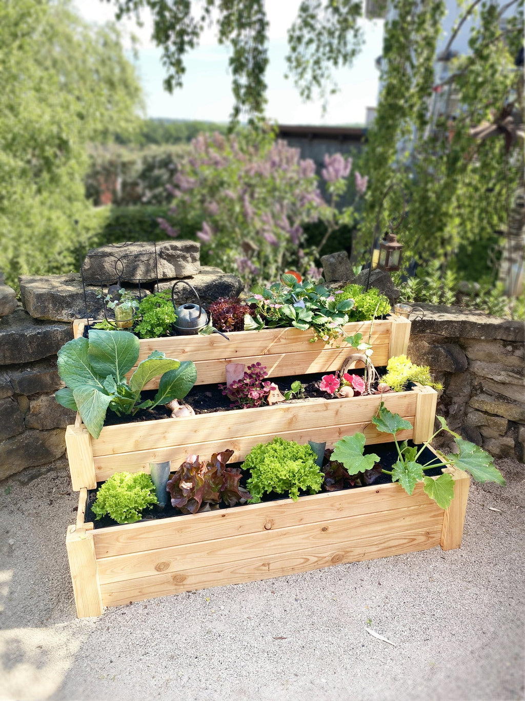  Premium Treppenhochbeet