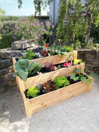  Premium Treppenhochbeet