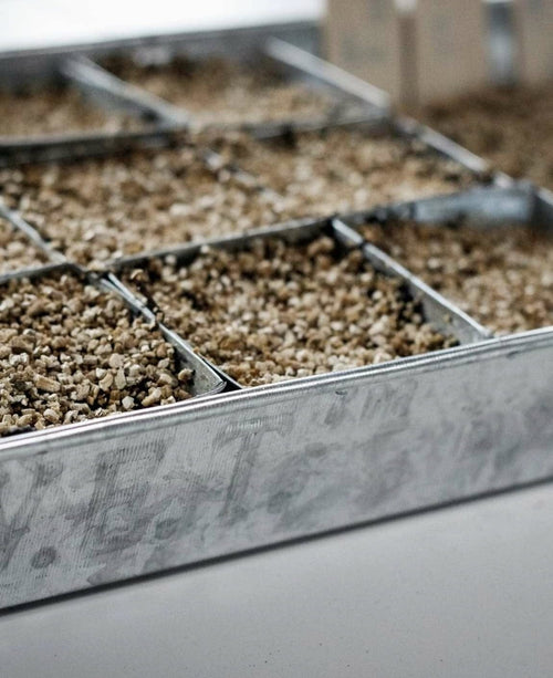  Anzuchtplatte Mit 30 Einzeltöpfen - Verzinkt