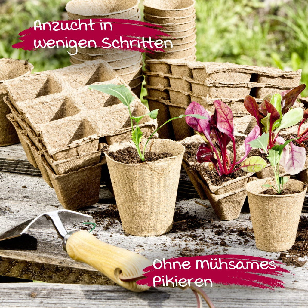 Windhager Anzucht-Töpfe 6 Cm Rund, 24 Stück