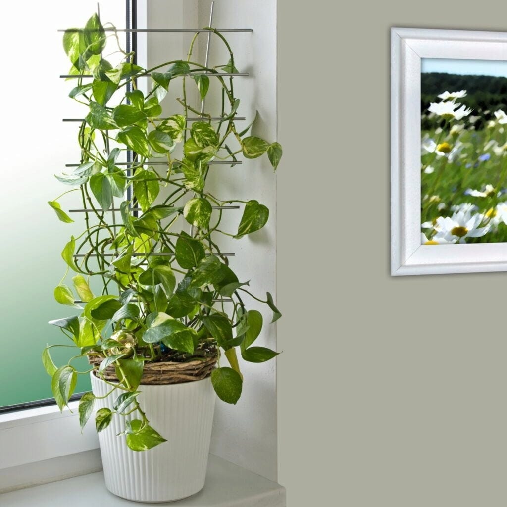Windhager Blumenstütze Metall, 44x24cm