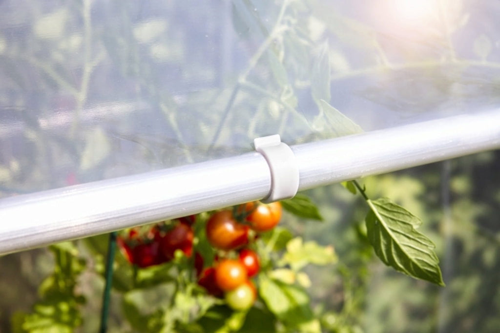 Windhager Ersatzclip Für Tomatenhaus Alustar