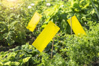 Windhager Gelbtafeln Mit Aufhänger