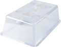 Windhager Haube Für Aussaat-Schale 38x24x13 Cm