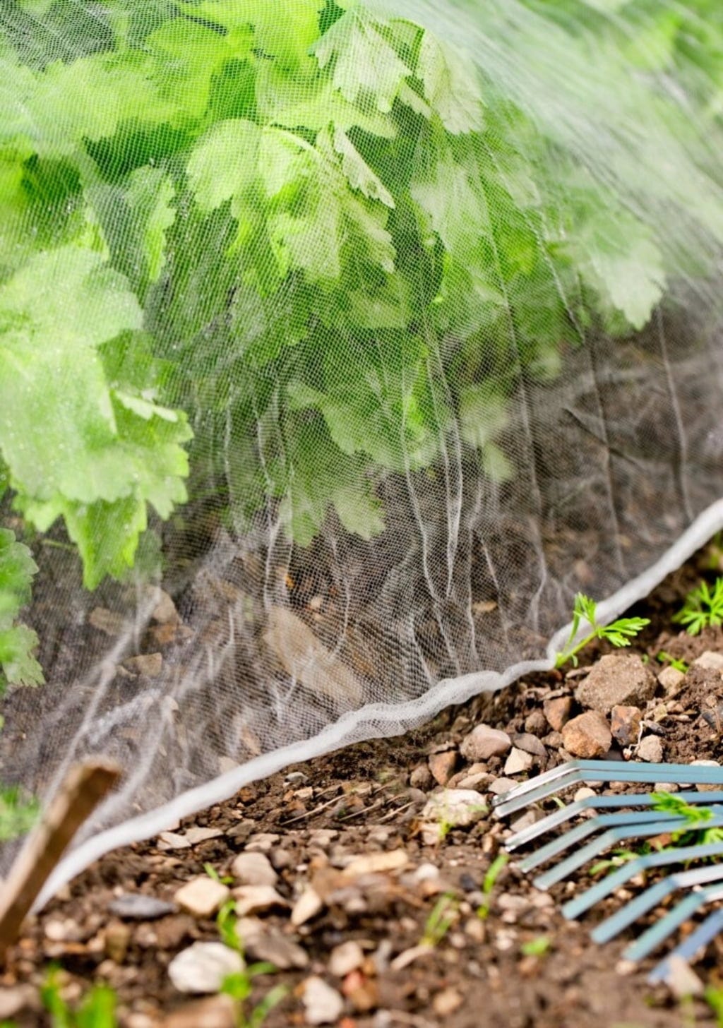 Windhager Insektenschutz-Netz