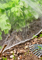 Windhager Insektenschutz-Netz
