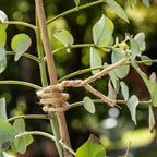 Windhager Jute Bindedraht ÖKO