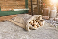 Windhager Jute-Sack Natur, 80x60cm