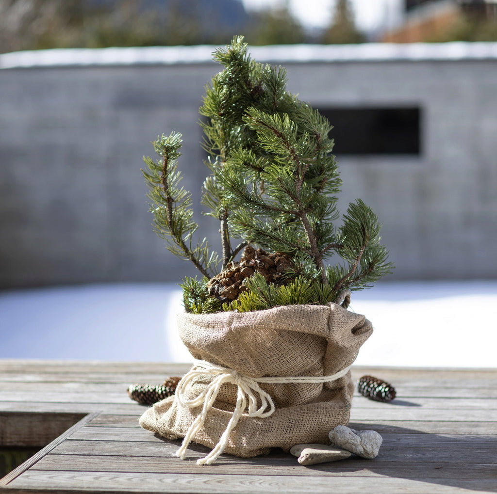 Windhager Jute-Sack Natur Öko, 3er Pack