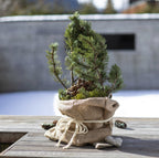 Windhager Jute-Sack Natur Öko, 3er Pack