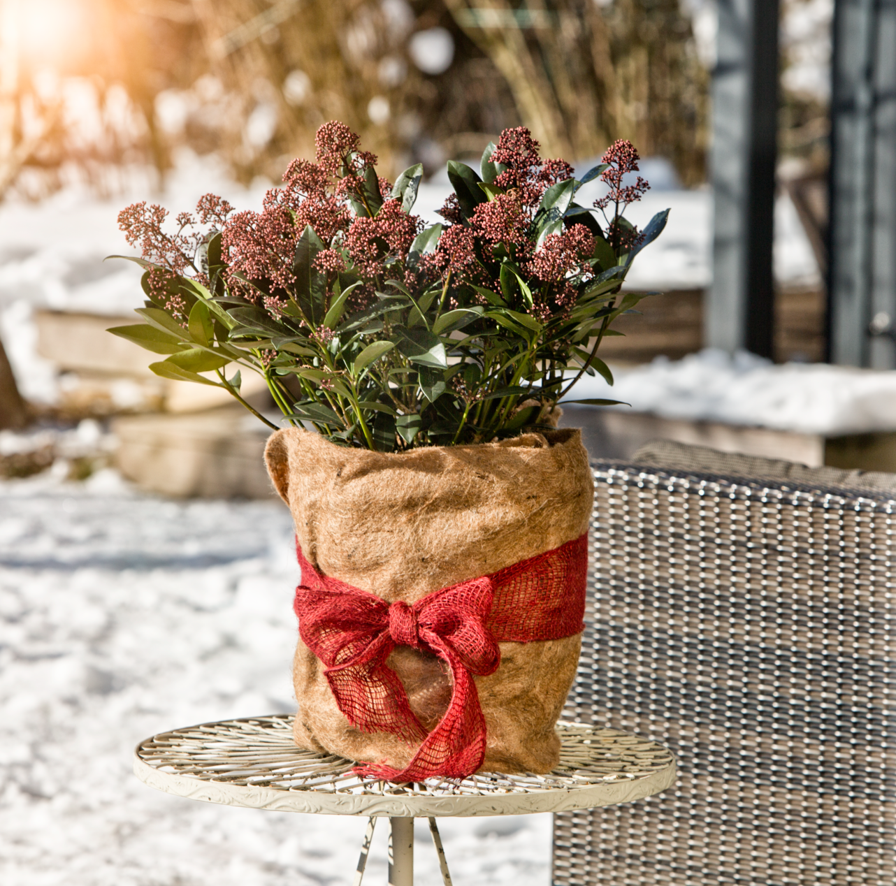 Windhager Jute Winterschutz-Vliesmatte Öko, 0,5 X 4 M