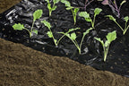 Windhager Mulch-Folie