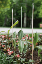 Windhager Stahlpflanzstab 10er-Set "Grün", 90 Cm