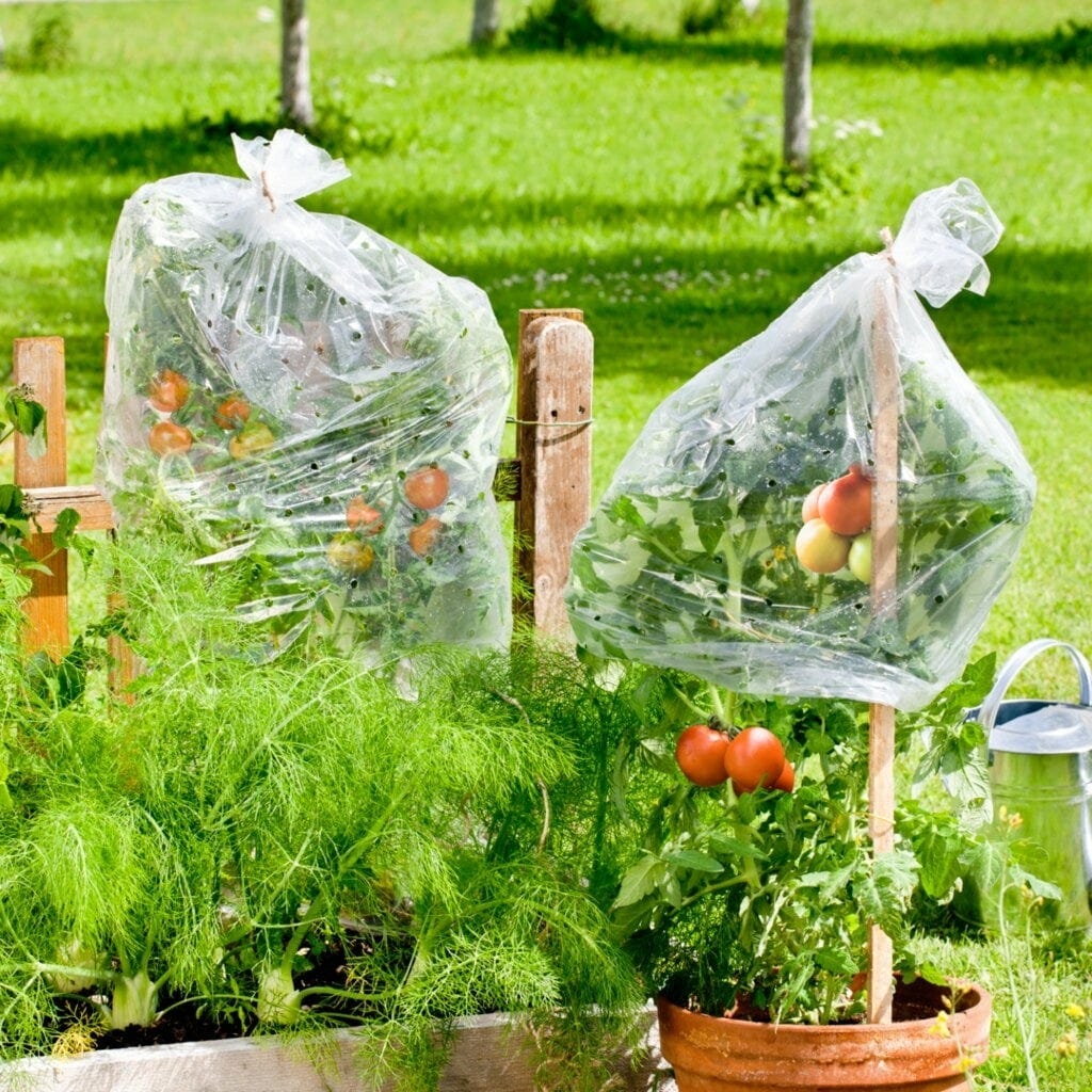 Windhager Tomaten-Folienschlauch