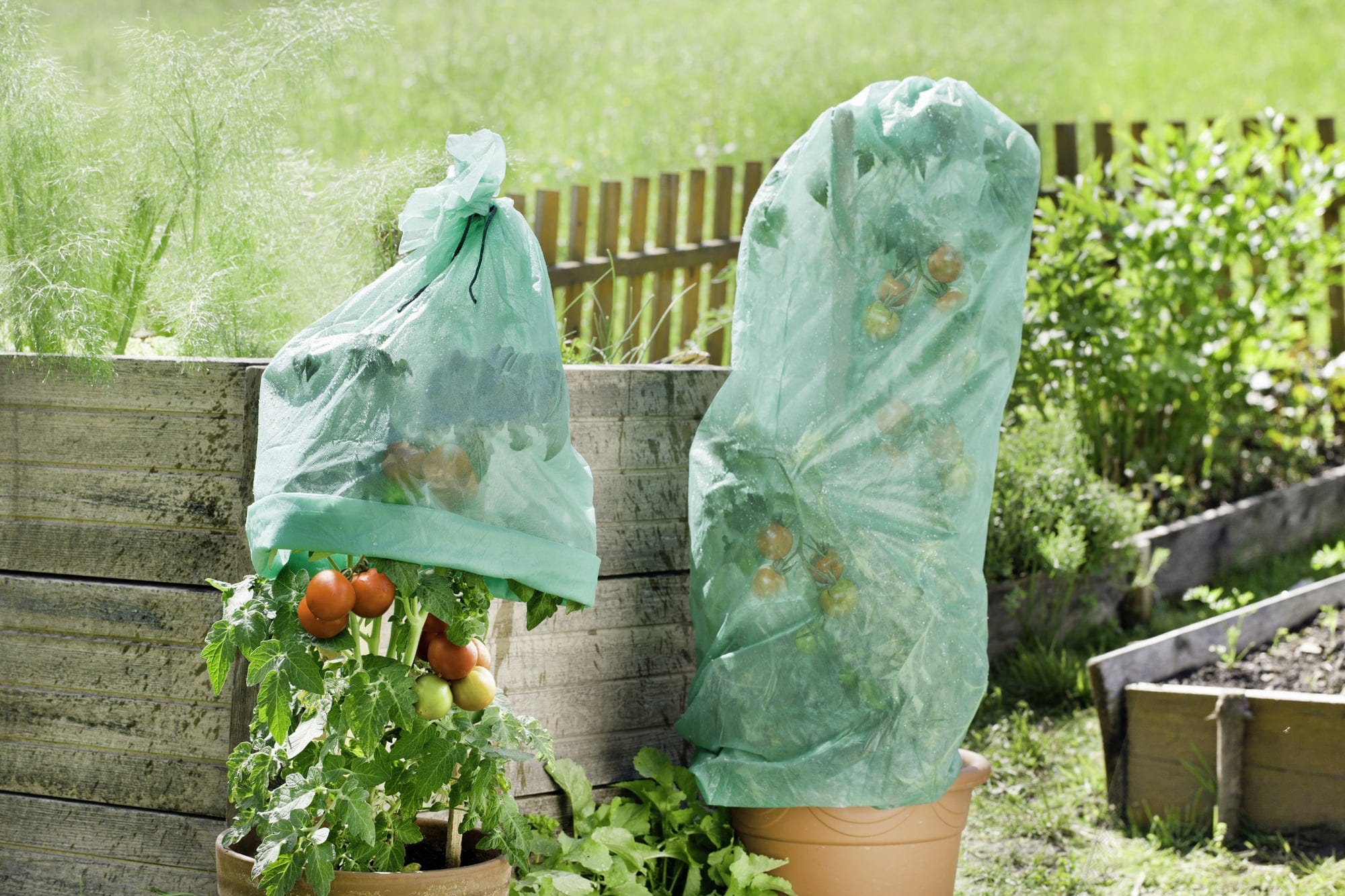 Windhager Tomaten-Vliesschlauch Supergrow