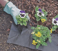 Windhager Unkraut-Vlies Basic