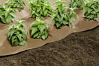 Windhager Unkraut Vlies Premium