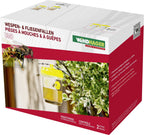 Windhager Wespen- & Fliegenfalle - 2 Stück, 2 Stück