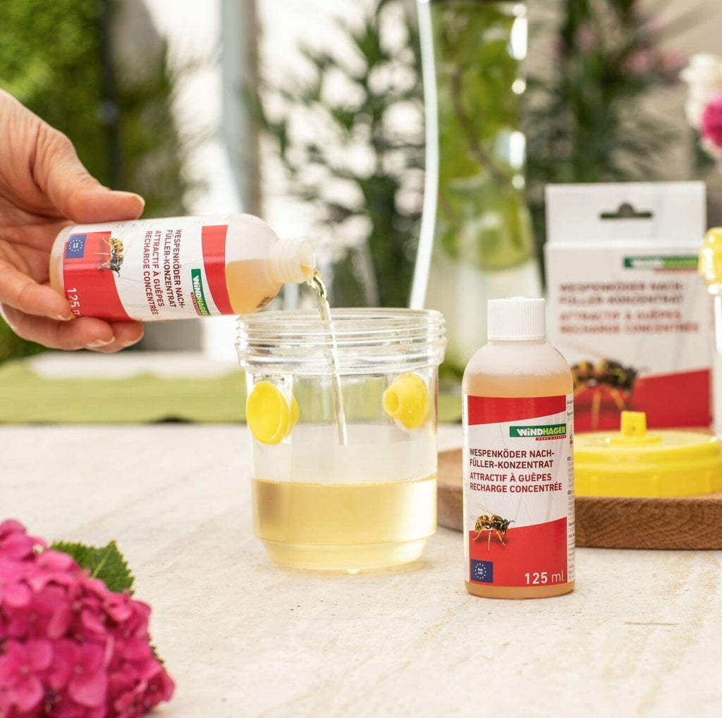 Windhager Wespenköder Nachfüllpack