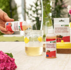 Windhager Wespenköder Nachfüllpack