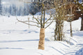 Windhager Winter-Vlies SUPERPROTECT - 3x1,5m