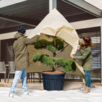 Windhager Winter Vlieshaube "Superprotect XXL"