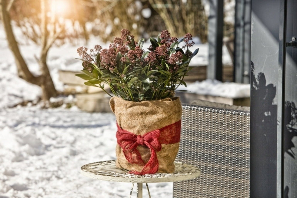 Windhager Winterschutz-Vliesmatte