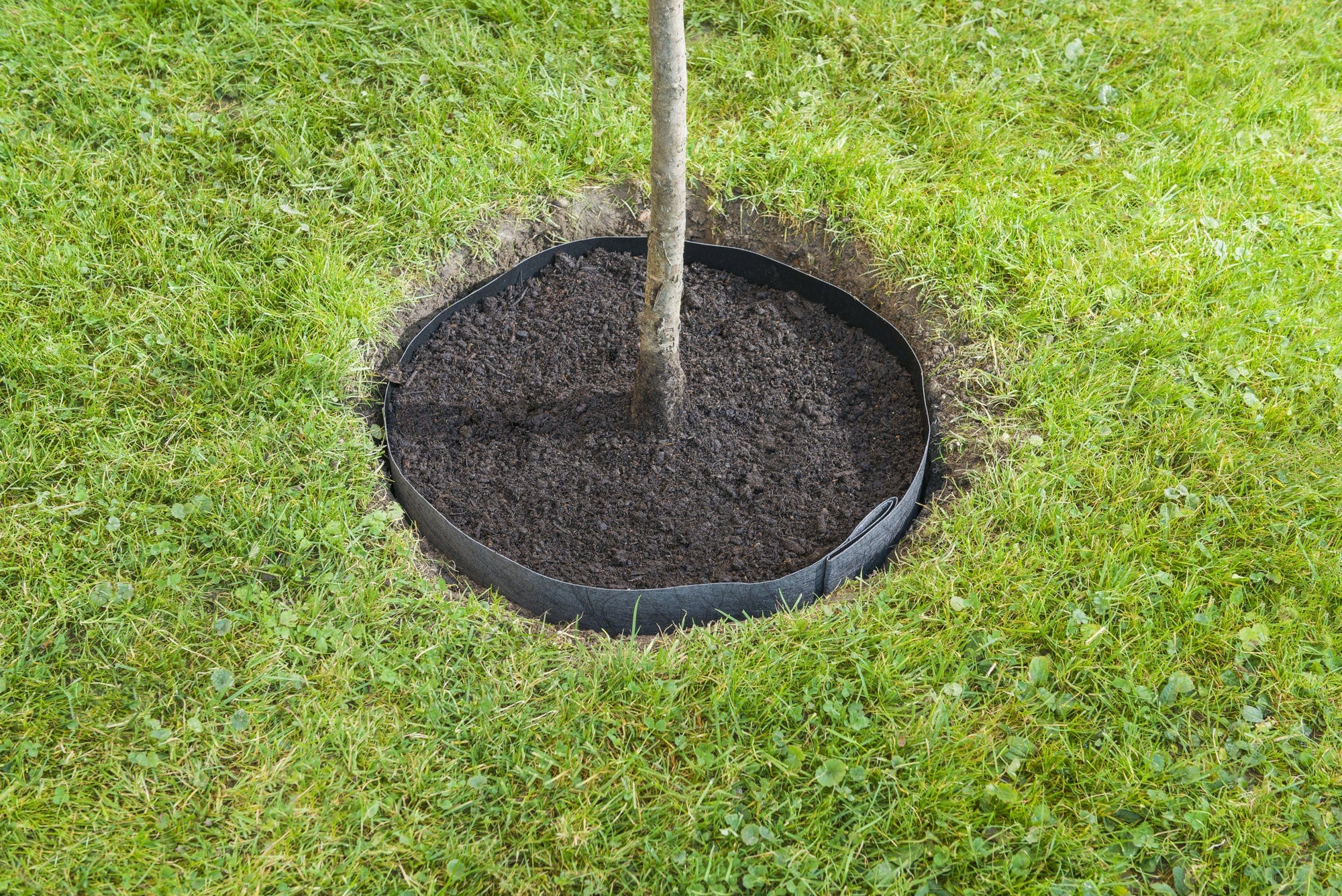 Windhager Wurzelsperr-Vlies