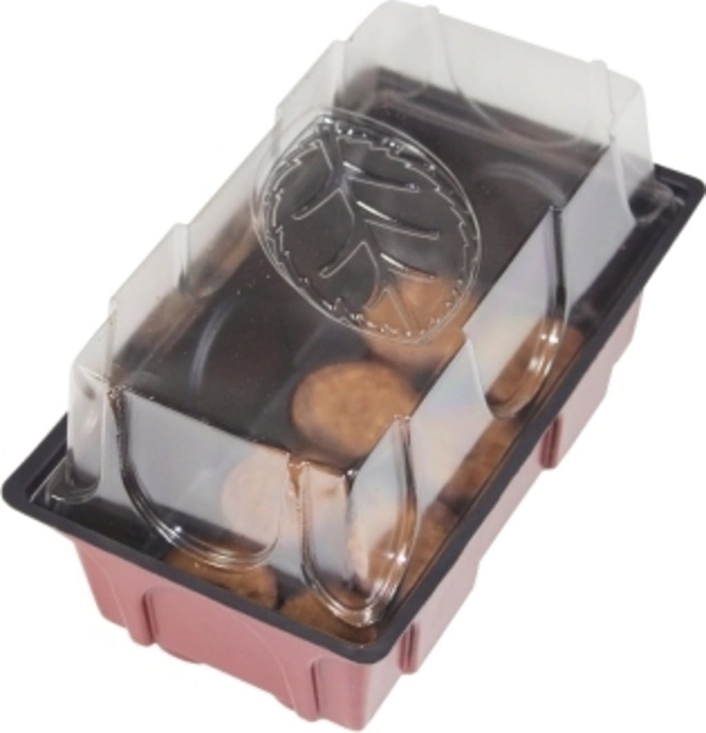 Windhager Zimmer-Treibhaus Mini Mit 8x Quelltabs