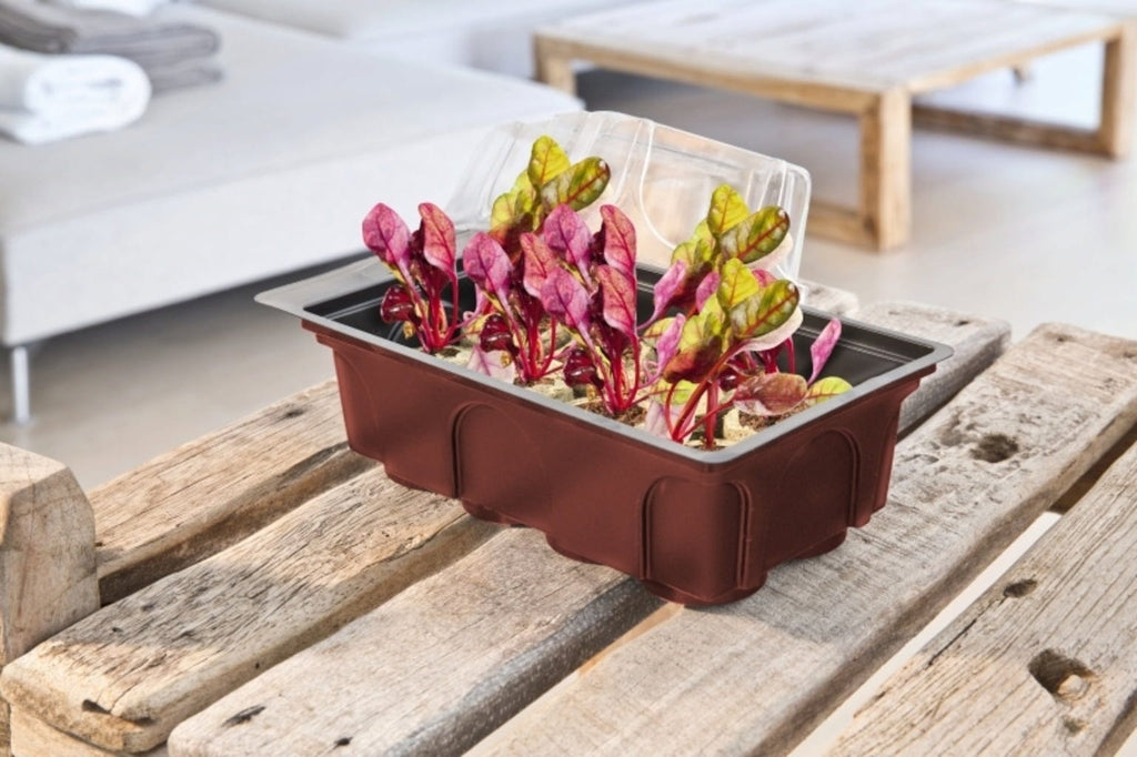 Windhager Zimmer-Treibhaus Mini Mit 8x Quelltabs